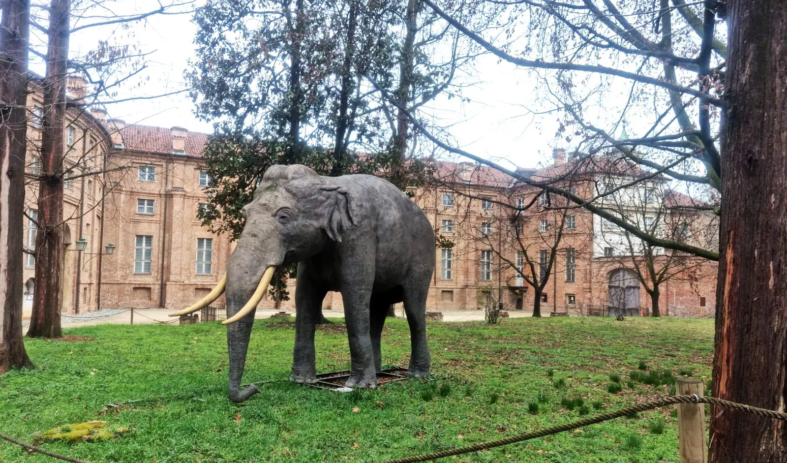 Fritz, l'elefante del parco della Palazzina